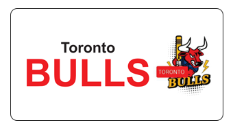 Cricket Match in Canada